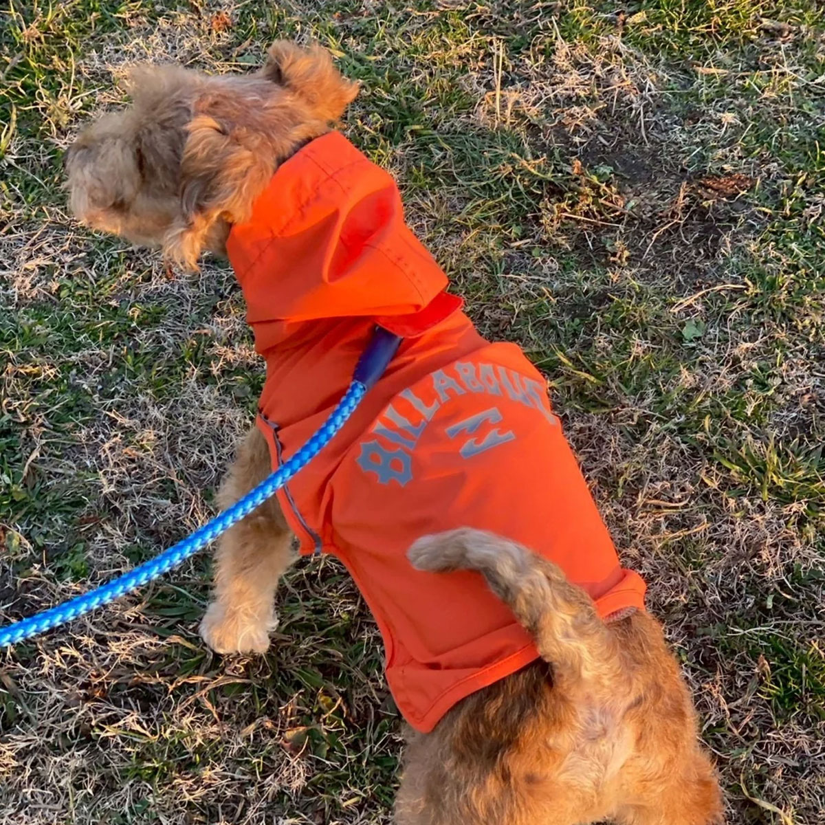 BILLABONG |  REFLECTIVE DOG RAINC��BG013985D��