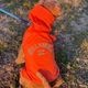 BILLABONG |  REFLECTIVE DOG RAINC��BG013985D��