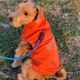 BILLABONG |  REFLECTIVE DOG RAINC��BG013985D��