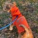 BILLABONG |  REFLECTIVE DOG RAINC��BG013985D��