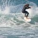 ROB MACHADO | ORGANIC BLEND SURF WAX��2241000�ۡ�2241002��