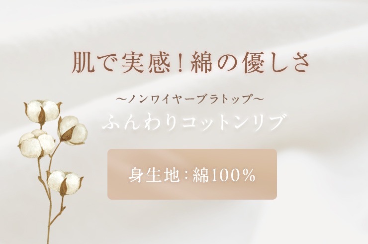 ȩ�ˤ���������100%���Υ�磻�䡼�֥�ȥå� ���֤��Τ餺 �Ҵ�ȩ ���åȥ�100��