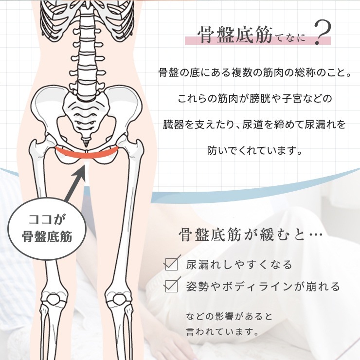 ̵ۡ¿ǽ硼ġ ڥݡ 硼ĥɥ ˥꡼   