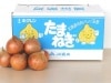 玉ねぎ Lサイズ 5kg・10kg