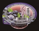 ��No.C-30�˥֥롼�٥꡼���꡼��120��/30����