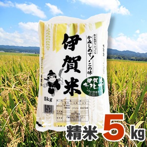 6ǯ˲ƥ̥ҥꡡ5kg
