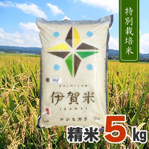 令和6年産　新米　伊賀米　コシヒカリ　農家の自家製米　5キロ✖️2 購入後に精米 令和6年産伊賀米秘蔵っ子娘 精米5kg | 伊賀米,精米5kg | 忍者の