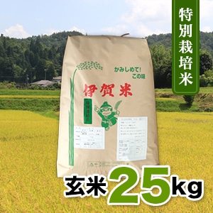 RAKU　令和6年度伊賀産特別栽培米コシヒカリ 玄米10キロ 令和6年産特別栽培米コシヒカリ 玄米25kg | 伊賀米,玄米25kg