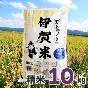 6ǯ˲ƤߤΤᡡ10kg