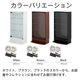 �� ���� �� LED�ʥۥ磻�ȡ˥��å� �ۥ��쥯������å� �쥮��顼 ���������� ��55cm�߱���19cm -�ե����奢��å� �� ������- ��CR-T5519EL��