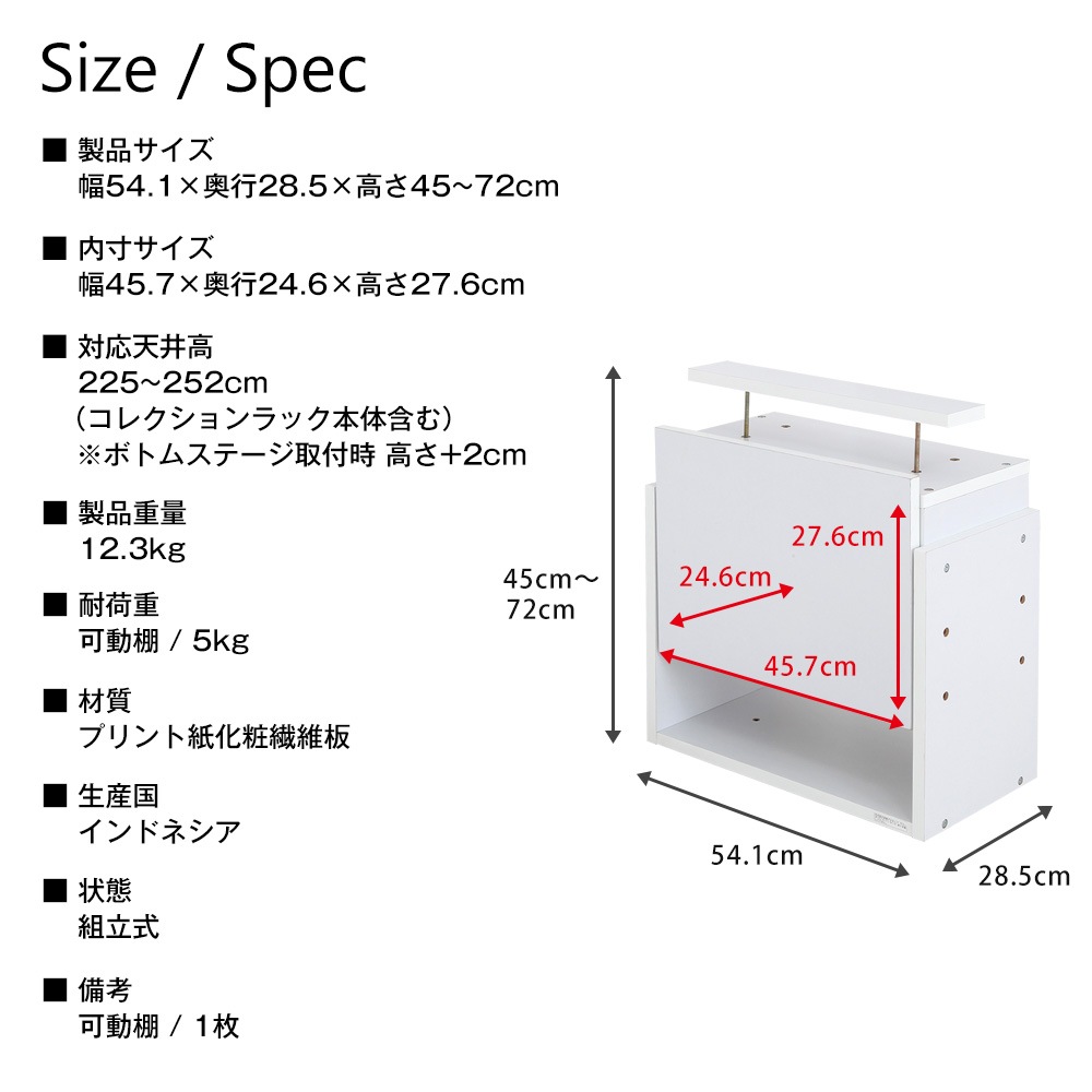 쥯å쥮顼ϥѾ֤ס55cm߱29cm-ե奢å  -