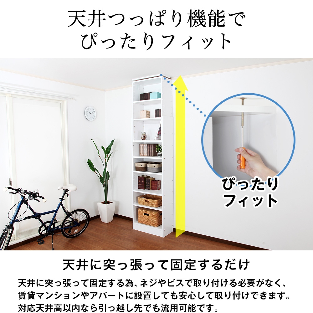 ŷĤäѤåTEN60cm߱17cmêǼêǼå̼Ǽͤĥ̥ӥͥå