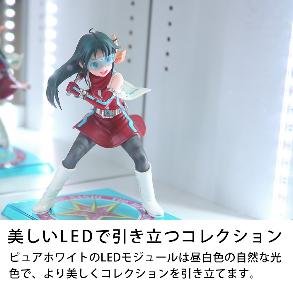 2025年初売りセール数量限定セット】フィギュアラック・ザ