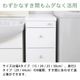 �����若�� -�饹��- ��15cm ����29cm