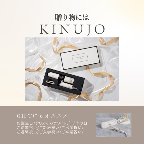 KINUJO ミニアイロン -deux-（ドゥー）※メーカー直送品