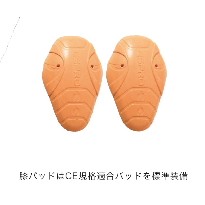 �ƽ� A2N-3001 AVIREX RIDING FIT CARGO PANTS [�����ʡ�5-7�Ķ����ˤ�ȯ��] AVIREX(���) 