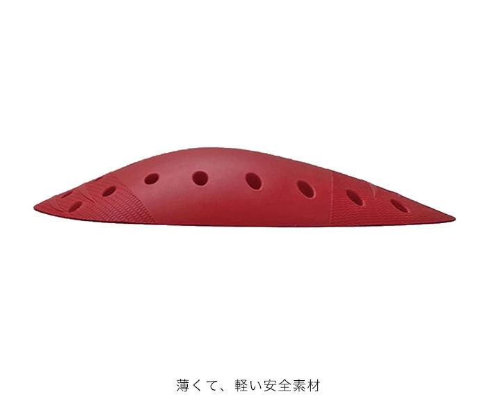 Autumn Thanks Fair10%OFFROPRO11 [/] ץƥȥʡ CE Ⱦµ RossoStyleLab(ǥ)