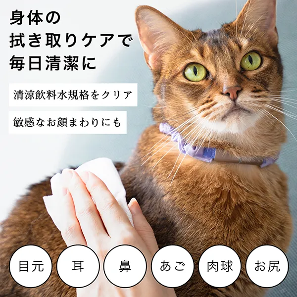 ペット用 ノンアルコール消臭除菌剤　ジェームズ・ミャーティン 500ml【Catlogコラボ】