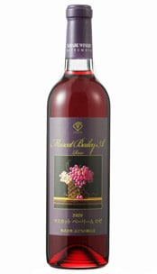 �ޥ����åȥ٥꡼������[�ɸ�][2019ǯ]