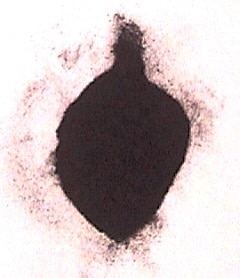 ��˧������ʴ�� 50g ������  Redwood extract powder 50g, 4 bags remained