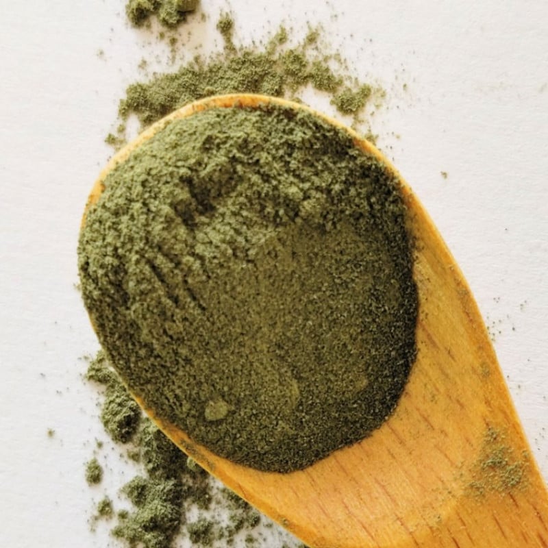 ����ɴ���ѥ������������