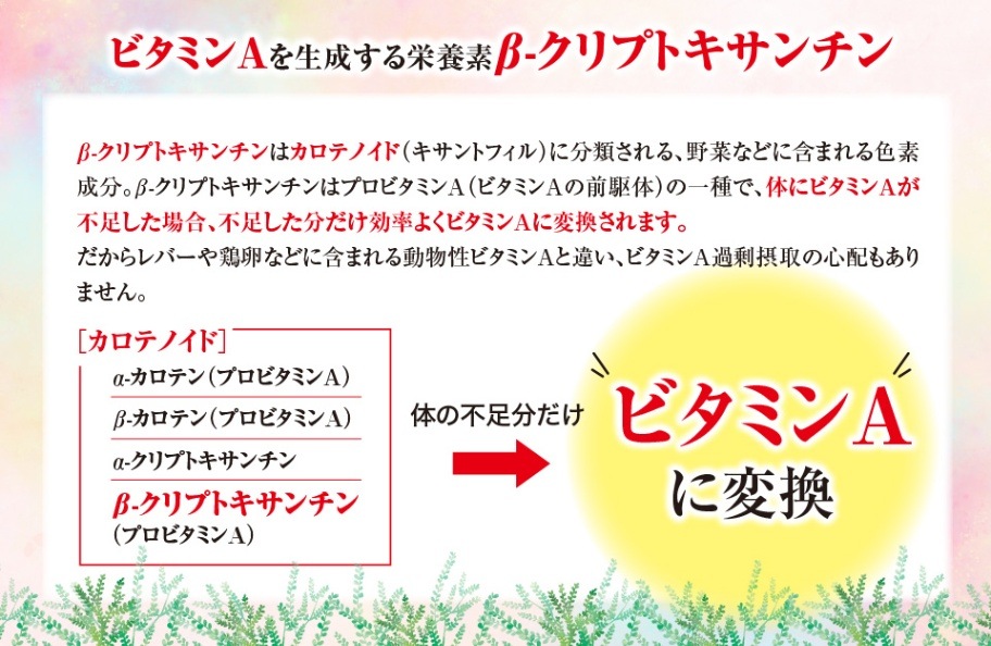 稀少果実の栄養機能食品ブアメラ500VEのベータ₋クリプト 