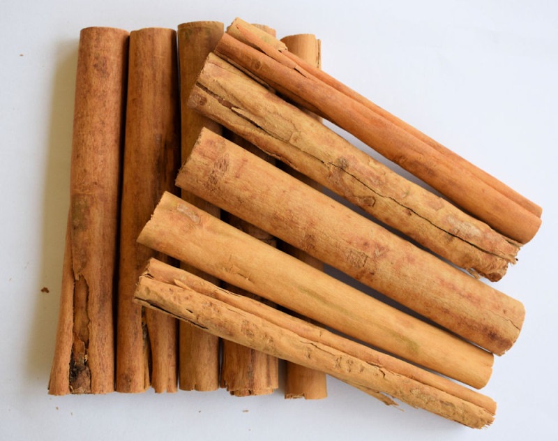 �ץ�ߥ��������ѡ��������󥷥ʥ�󥹥ƥ��å���12cm��1.7�ѡ�10��