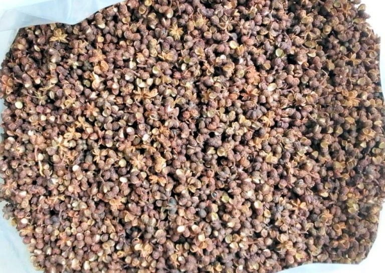 ���ι�̣�����������ޥ�ܥ �ۡ��롢500��