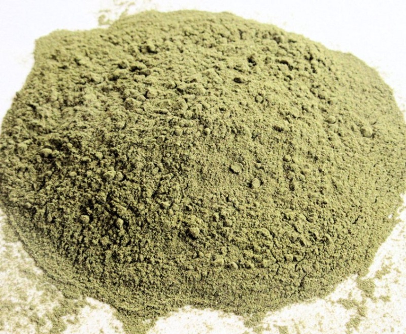 �ե����ȥ꡼�����ȥ�åȡ����Τ��ʤ�Ǯ�ӥ���狼���£��ʪ������ɴ���ʥ������������ʴ����1��