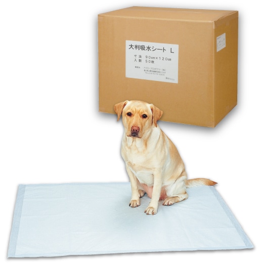 ��̳����Ƚ�����ġ�����50��