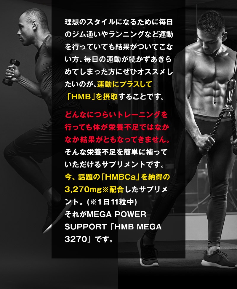 ������̵����HMB MEGA 3270