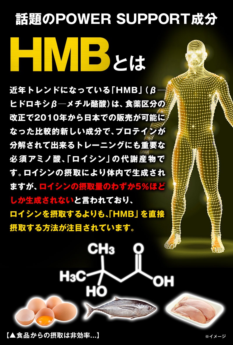 ������̵����HMB MEGA 3270