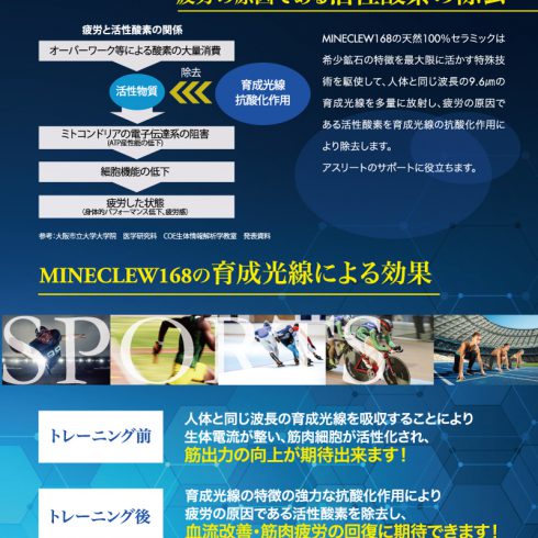 MINECLEW168ߥͥޥå꡼ࡡ350