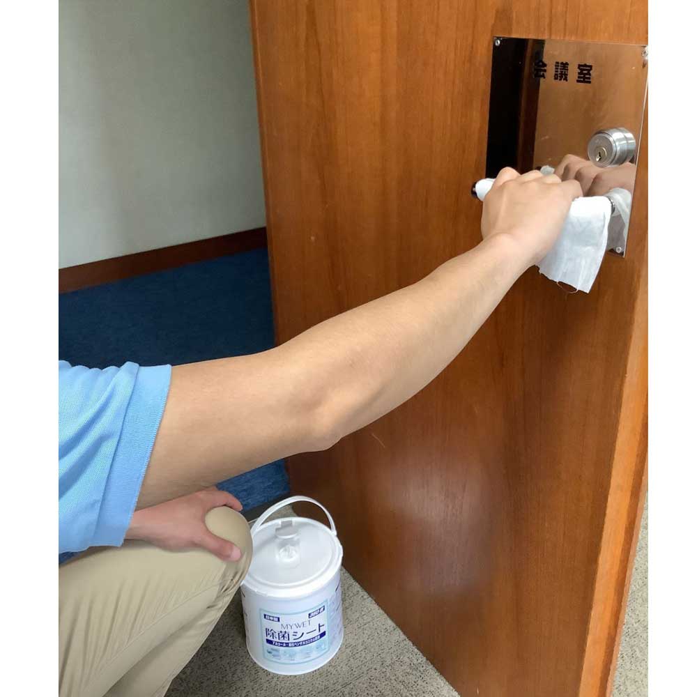 ͣ ףţ ݥ 350  ʿʥ륹ͭʬ۹