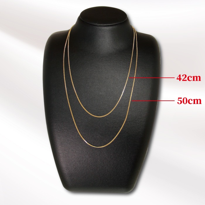 【ラスト1】10K Yellow Gold マリア コイン チャーム ネックレス 2_000000000232.jpg?1699604539