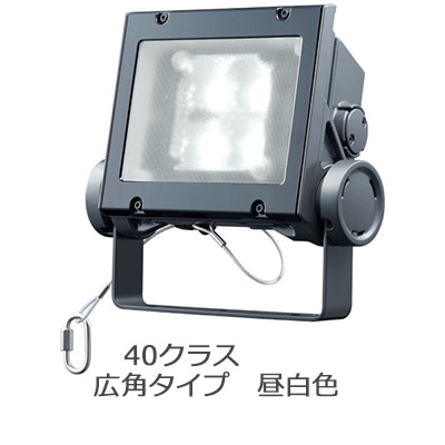 ECF4040W/NSAN8/DG || LED投光器 岩崎電気 レディオックフラッド