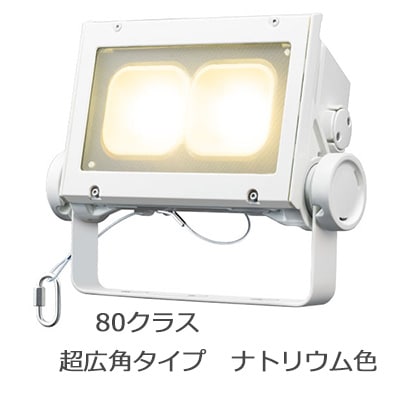 ECF8040SW/NHSAN8/W || LED投光器 岩崎電気 レディオックフラッドネオ