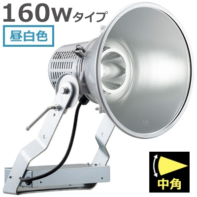 E30443M/NSAN9 || LED投光器 岩崎電気 レディオックフラッドスポラート