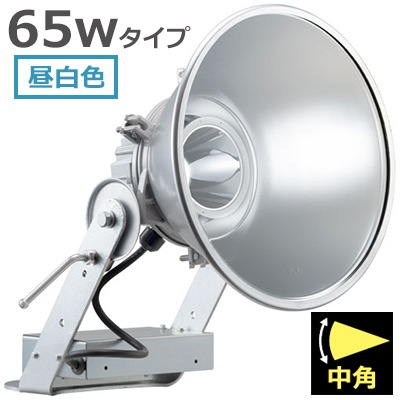 E30441M/NSAN9 || LED投光器 岩崎電気 レディオックフラッドスポラート