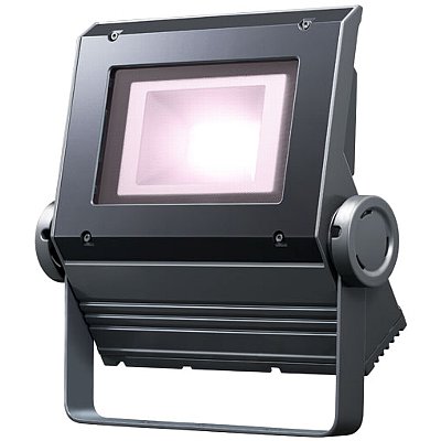 ECF0695VW/SAN8/DG || LED投光器 岩崎電気(IWASAKI) レディオック