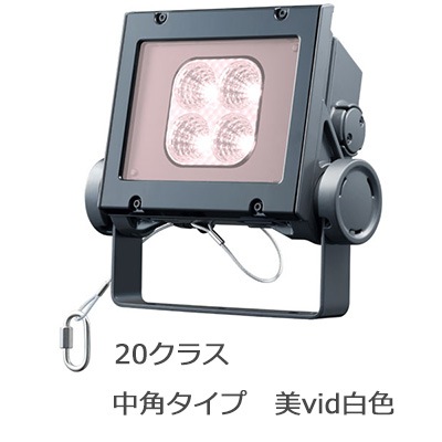 ECF2040M/VWSAN8/DG || LED投光器 岩崎電気 レディオックフラッドネオ