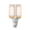 LDFS79L-G-E39D || LED�ŵ� ����ŵ�(IWASAKI) ��ǥ����å�LED�饤�ȥХ��S 79W ���Ÿ������ ƻϩ����ϩ�������(��ʿ������) ������300W���� �ŵ忧(2700K) 9500lm Ra80��������(90W/100V��) E39���� ��̿(40000h) �ɿ��ѥå��������[br]