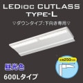 EBL20206AD/DSAN9 || LED ŵ ǥå ȥ饹type-Lڥ󥿥:۽250mm/600Lס ⤵23m緿˺Ŭ  Ÿ˥å¢ IP55 (6500K) 1900lm Ra80 AC100242V (60025043mm)Բġ[br]