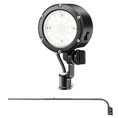 E30014W/NSAN9/BK + F14/BK || LED小形投光器+アームセット[黒色] 岩崎