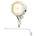 E30015M/LSAN9/W + F13/W || LED+ॻå[] ŵ(IWASAKI) LED:ǥåեåɥ33W Х饹ȥ쥹300W ŵ忧 48١+L:965mm AC100240V Բġ [br]