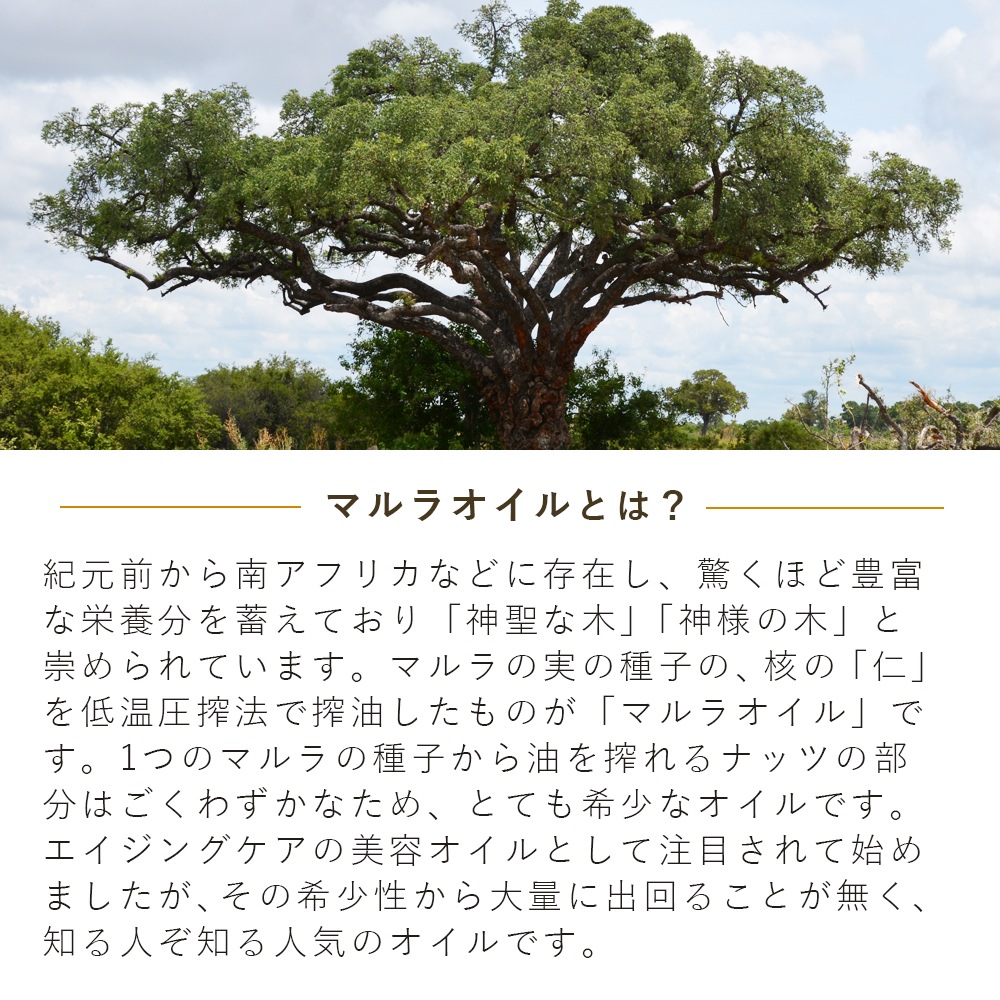 ネイルオイル キューティクルオイル100％認証オーガニックマルラオイル 100％認証オーガニックオイル  30ml 100ml 200ml 500ml 大容量  爪 甘皮