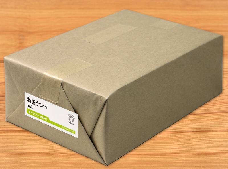 なずな 紙類 ナ-2501 カラーペーパー B4 最厚口 白 25枚パック - 【Nagatoya