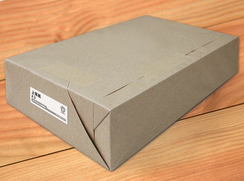 ���������ʥꥵ����������ˡ�110kg�䡡A3��1000�� | ¨��ȯ��/����̵�� | �������ѹ��� |