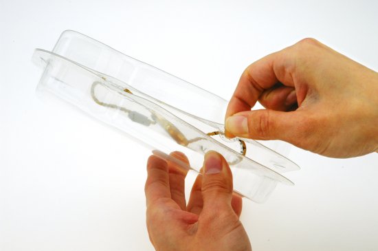 P-BOX No.5　1個～