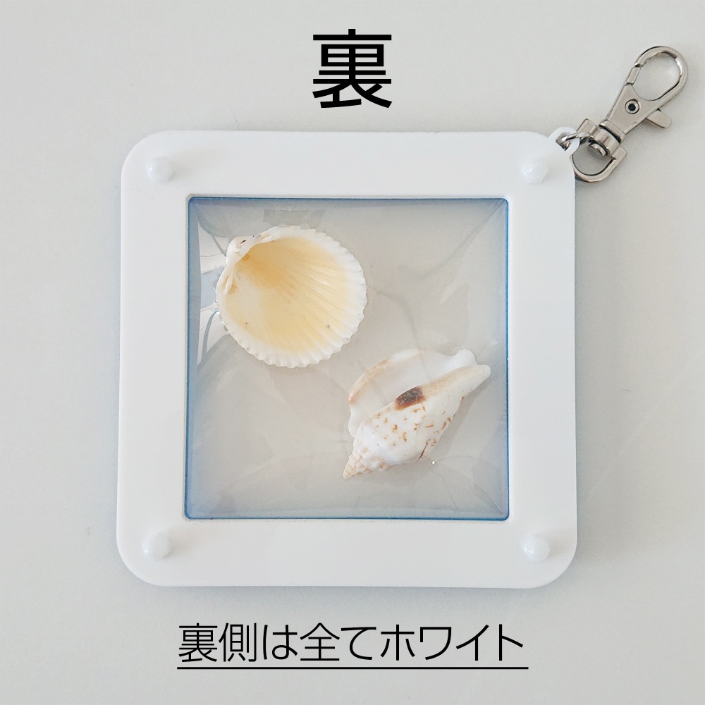 推しと一緒に。フレーミー【簡易パッケージ版特別価格】
